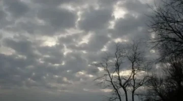 طقس الجمعة.. تراجع درجات الحرارة في القاهرة وموجة برودة تضرب المحافظات صباحًا